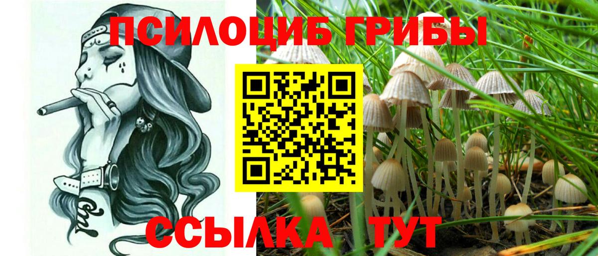 Ачинск  Псилоцибиновые грибы Magic Shrooms  наркошоп  Вход с VPN 